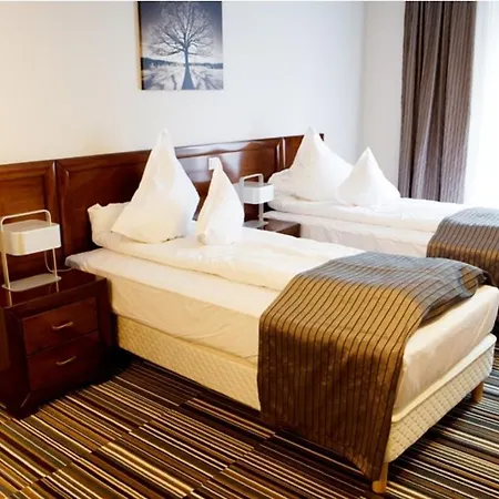 Hotel Belvedere Botoşani Habitación foto